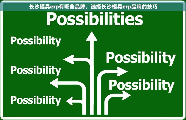 长沙模具erp有哪些品牌，选择长沙模具erp品牌的技巧