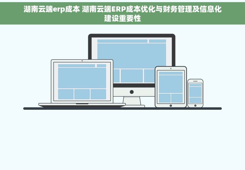 湖南云端erp成本 湖南云端ERP成本优化与财务管理及信息化建设重要性