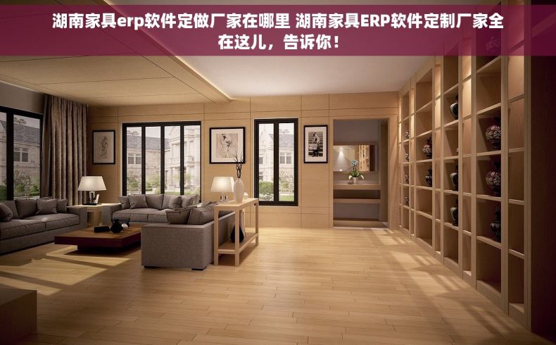 湖南家具erp软件定做厂家在哪里 湖南家具ERP软件定制厂家全在这儿，告诉你！