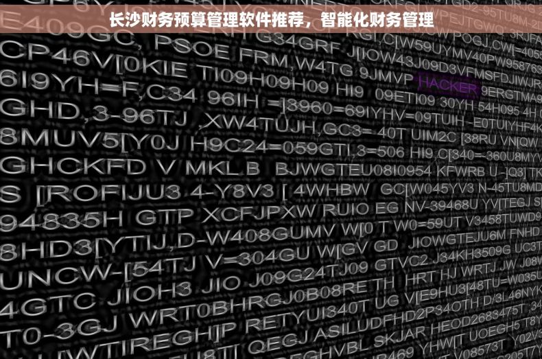 长沙财务预算管理软件推荐，智能化财务管理