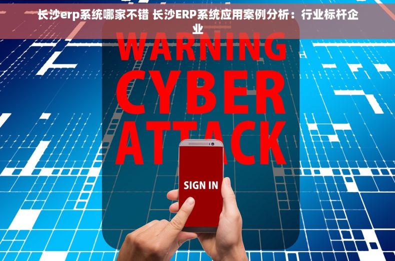 长沙erp系统哪家不错 长沙ERP系统应用案例分析：行业标杆企业
