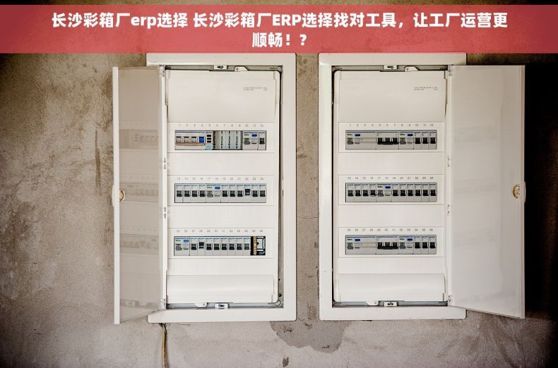 长沙彩箱厂erp选择 长沙彩箱厂ERP选择找对工具，让工厂运营更顺畅！?