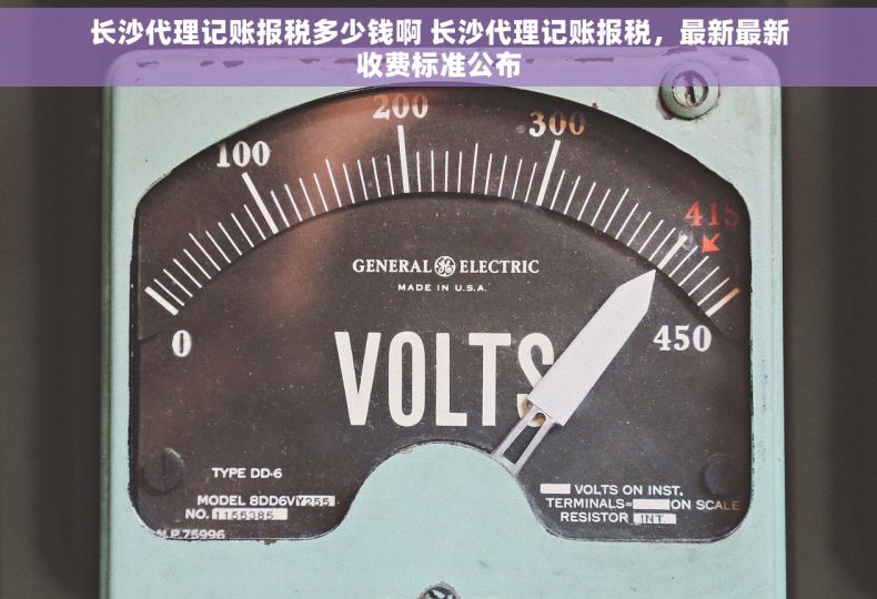 长沙代理记账报税多少钱啊 长沙代理记账报税，最新最新收费标准公布