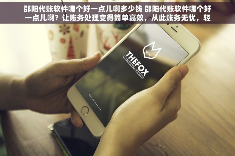 邵阳代账软件哪个好一点儿啊多少钱 邵阳代账软件哪个好一点儿啊？让账务处理变得简单高效，从此账务无忧，轻松创业！