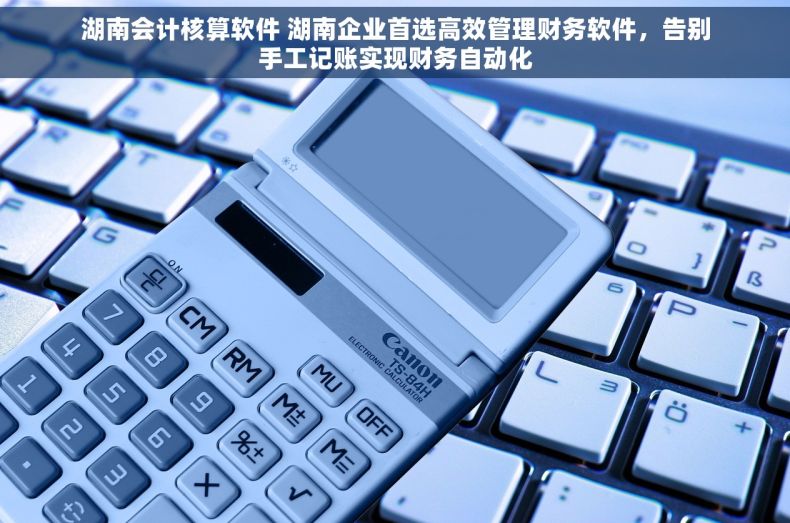 湖南会计核算软件 湖南企业首选高效管理财务软件，告别手工记账实现财务自动化