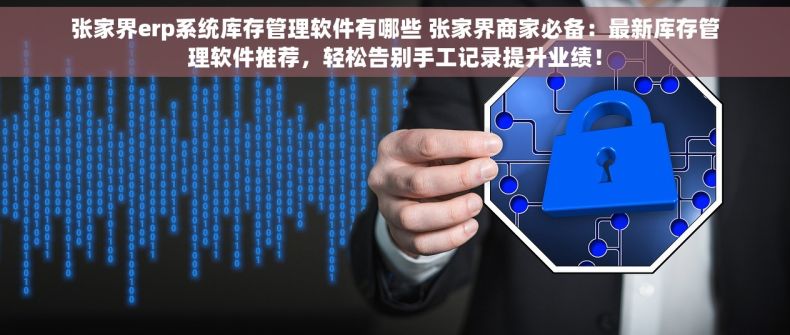 张家界erp系统库存管理软件有哪些 张家界商家必备：最新库存管理软件推荐，轻松告别手工记录提升业绩！