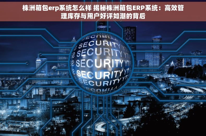 株洲箱包erp系统怎么样 揭秘株洲箱包ERP系统：高效管理库存与用户好评如潮的背后