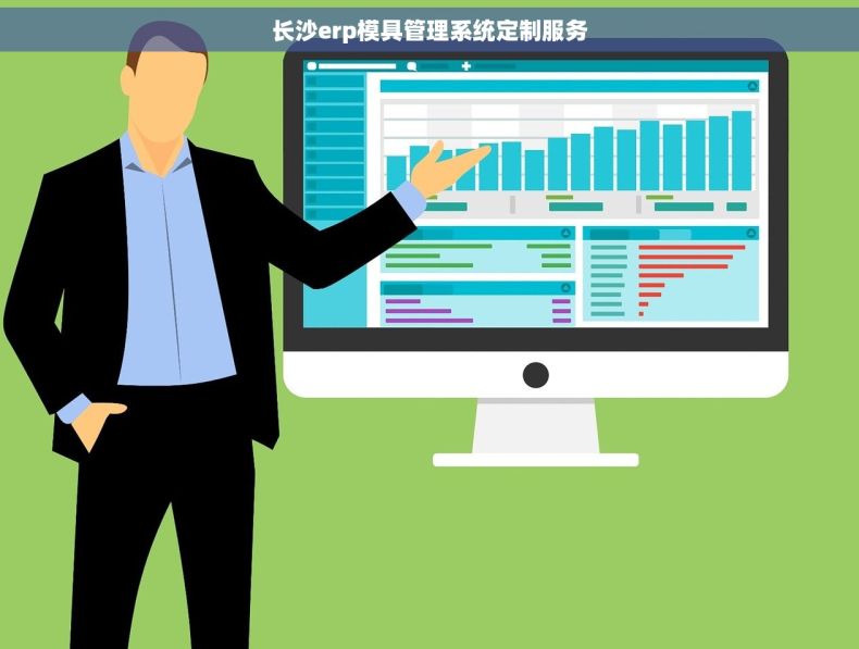 长沙erp模具管理系统定制服务