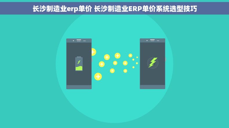 长沙制造业erp单价 长沙制造业ERP单价系统选型技巧