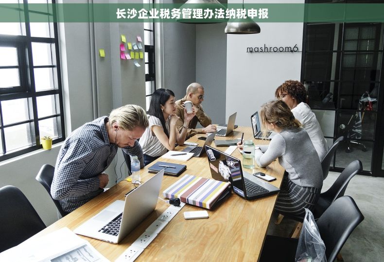 长沙企业税务管理办法纳税申报