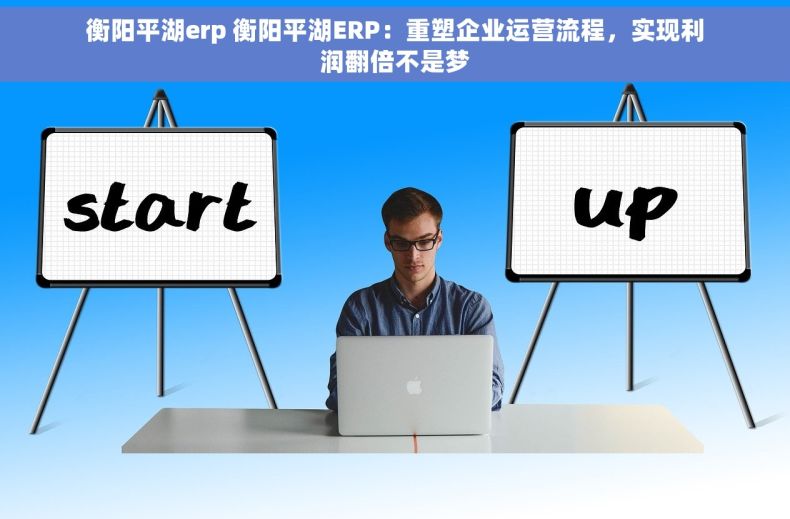 衡阳平湖erp 衡阳平湖ERP：重塑企业运营流程，实现利润翻倍不是梦