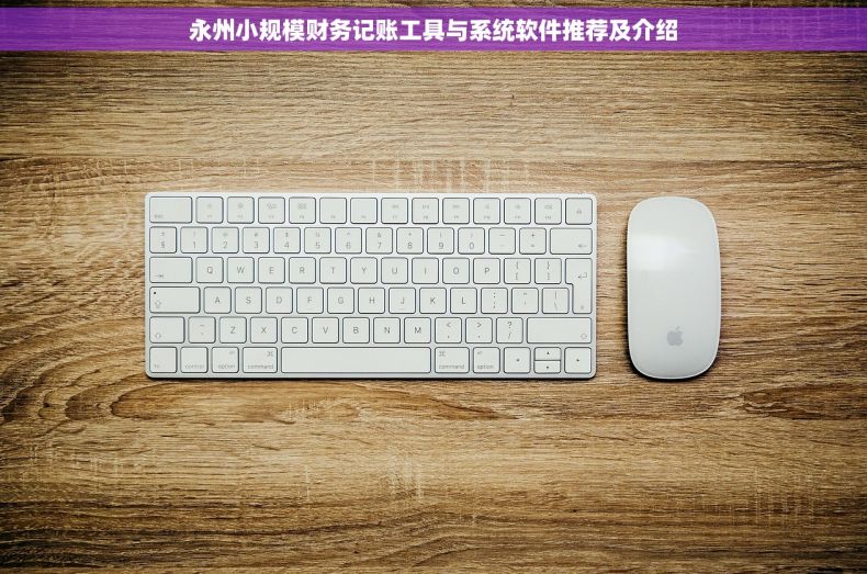 永州小规模财务记账工具与系统软件推荐及介绍