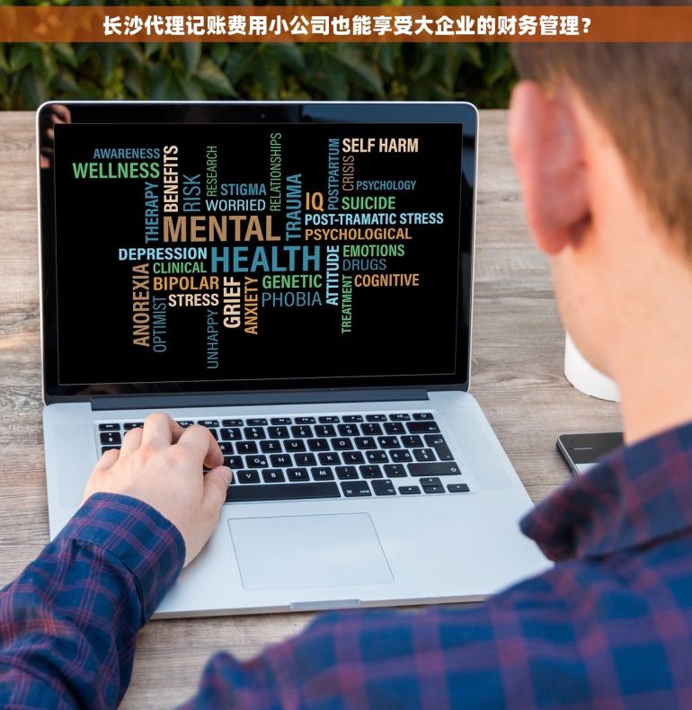 长沙代理记账费用小公司也能享受大企业的财务管理？