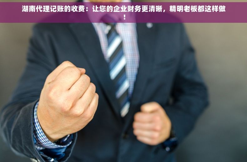 湖南代理记账的收费：让您的企业财务更清晰，精明老板都这样做！
