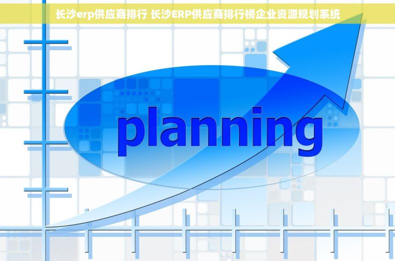 长沙erp供应商排行 长沙ERP供应商排行榜企业资源规划系统