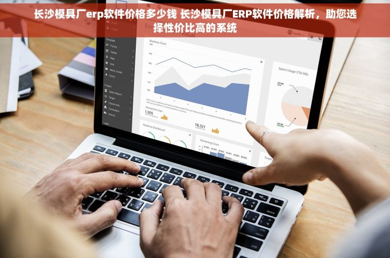 长沙模具厂erp软件价格多少钱 长沙模具厂ERP软件价格解析，助您选择性价比高的系统