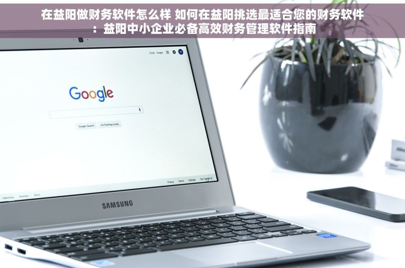 在益阳做财务软件怎么样 如何在益阳挑选最适合您的财务软件：益阳中小企业必备高效财务管理软件指南