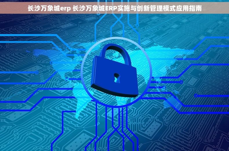 长沙万象城erp 长沙万象城ERP实施与创新管理模式应用指南
