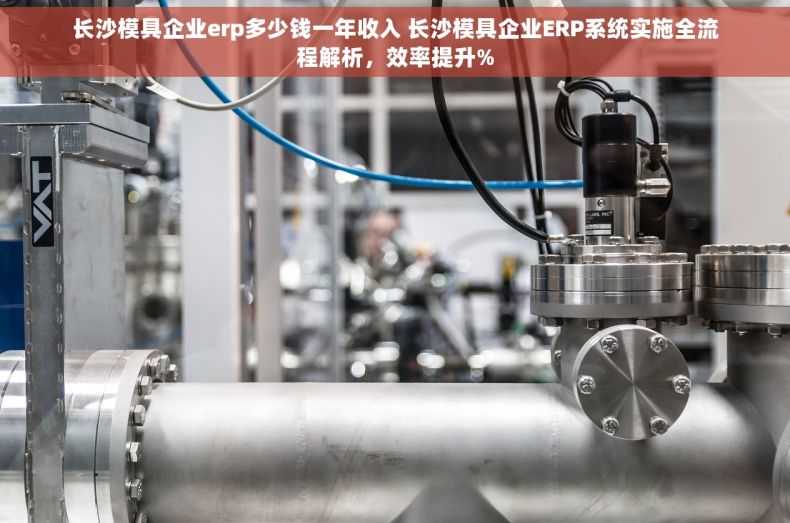 长沙模具企业erp多少钱一年收入 长沙模具企业ERP系统实施全流程解析，效率提升%