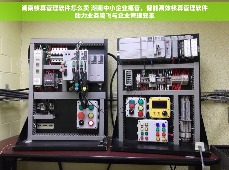 湖南核算管理软件怎么卖 湖南中小企业福音，智能高效核算管理软件助力业务腾飞与企业管理变革