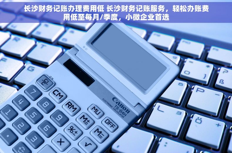 长沙财务记账办理费用低 长沙财务记账服务，轻松办账费用低至每月/季度，小微企业首选
