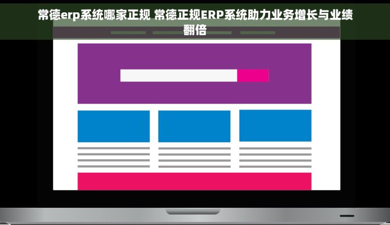 常德erp系统哪家正规 常德正规ERP系统助力业务增长与业绩翻倍