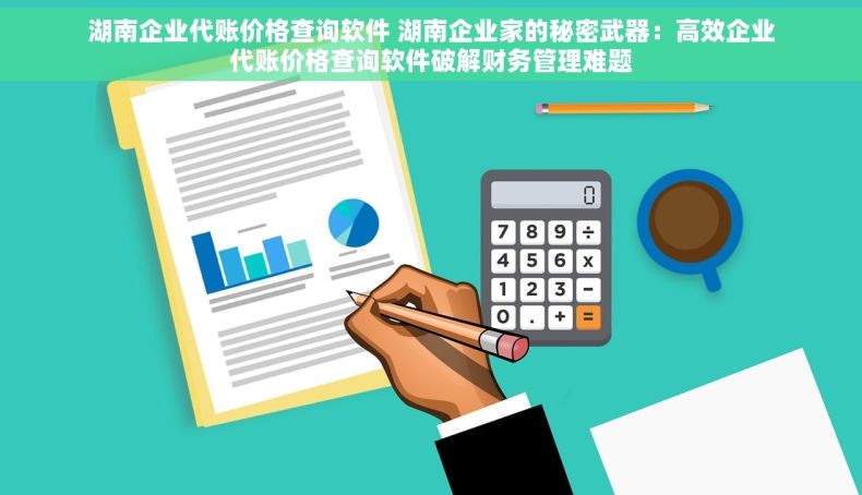 湖南企业代账价格查询软件 湖南企业家的秘密武器：高效企业代账价格查询软件破解财务管理难题