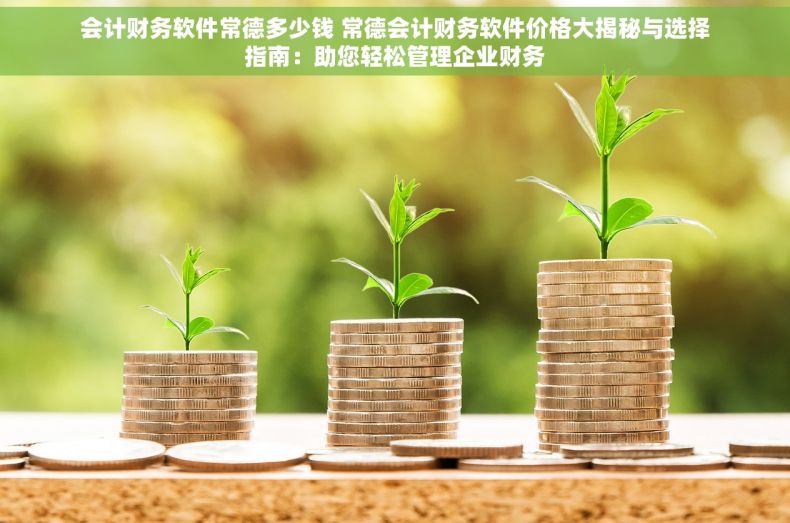 会计财务软件常德多少钱 常德会计财务软件价格大揭秘与选择指南：助您轻松管理企业财务