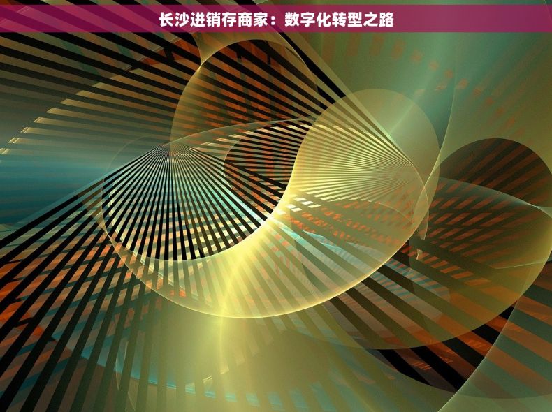 长沙进销存商家：数字化转型之路