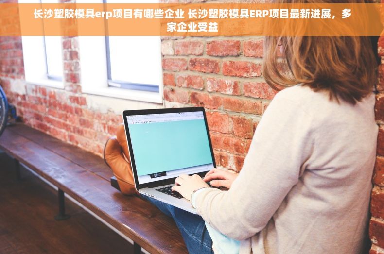 长沙塑胶模具erp项目有哪些企业 长沙塑胶模具ERP项目最新进展，多家企业受益