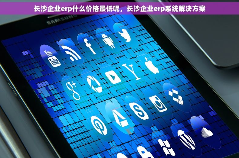 长沙企业erp什么价格最低呢，长沙企业erp系统解决方案