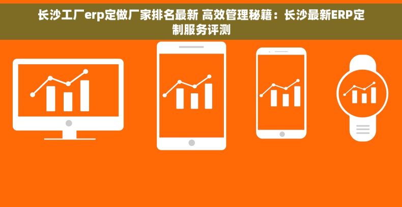长沙工厂erp定做厂家排名最新 高效管理秘籍：长沙最新ERP定制服务评测
