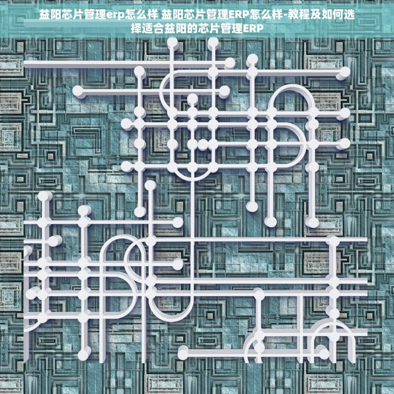 益阳芯片管理erp怎么样 益阳芯片管理ERP怎么样-教程及如何选择适合益阳的芯片管理ERP