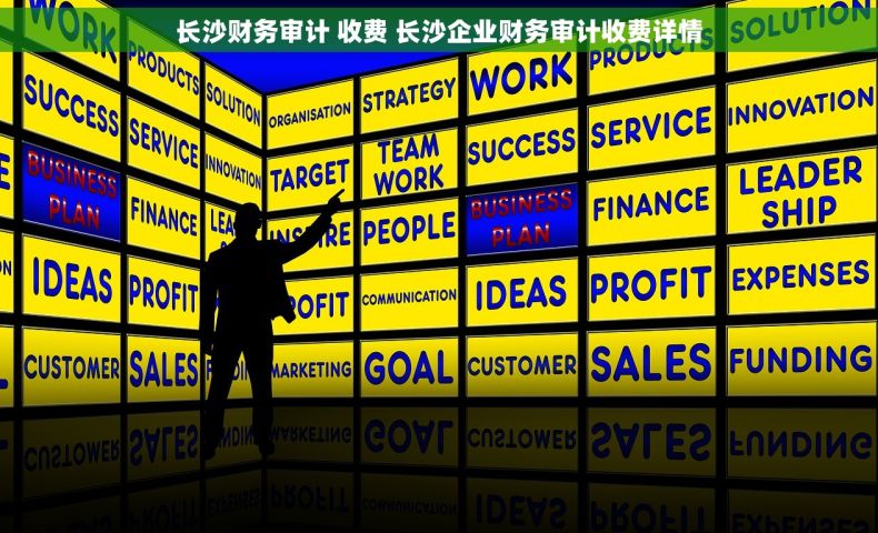 长沙财务审计 收费 长沙企业财务审计收费详情