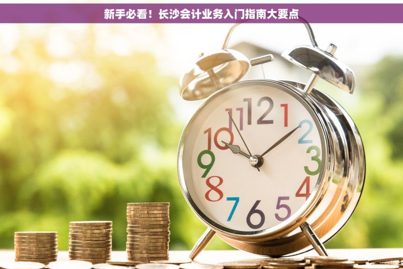 新手必看！长沙会计业务入门指南大要点