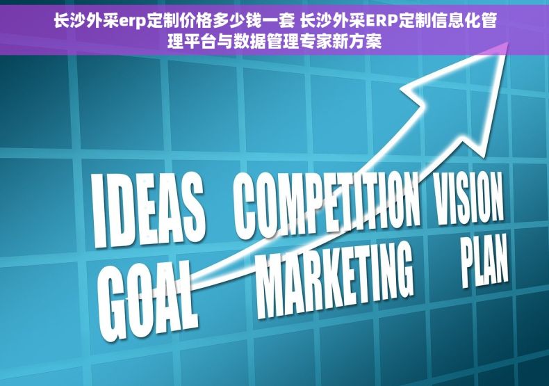 长沙外采erp定制价格多少钱一套 长沙外采ERP定制信息化管理平台与数据管理专家新方案