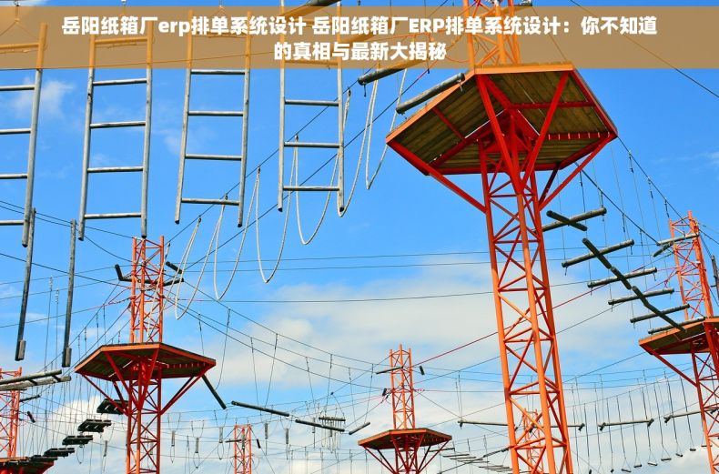 岳阳纸箱厂erp排单系统设计 岳阳纸箱厂ERP排单系统设计：你不知道的真相与最新大揭秘