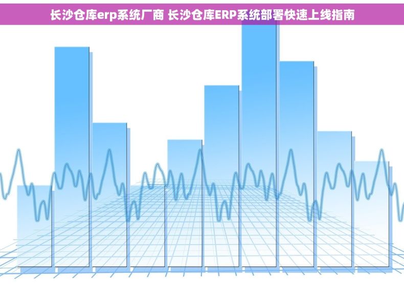 长沙仓库erp系统厂商 长沙仓库ERP系统部署快速上线指南