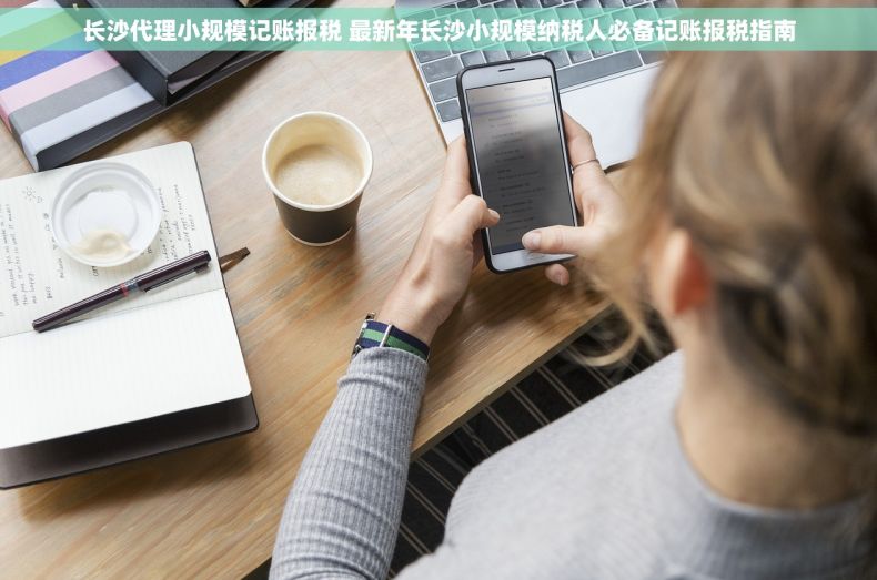 长沙代理小规模记账报税 最新年长沙小规模纳税人必备记账报税指南
