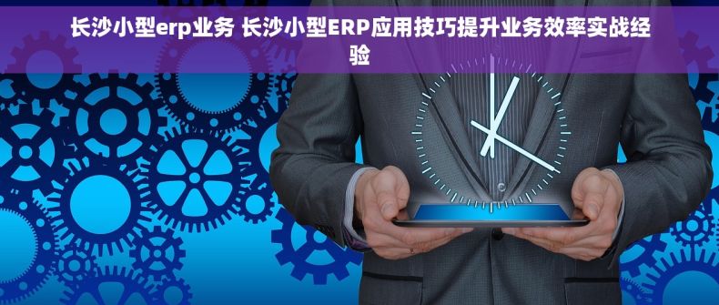 长沙小型erp业务 长沙小型ERP应用技巧提升业务效率实战经验