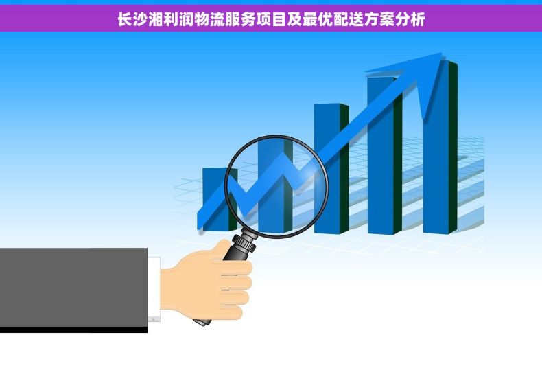 长沙湘利润物流服务项目及最优配送方案分析
