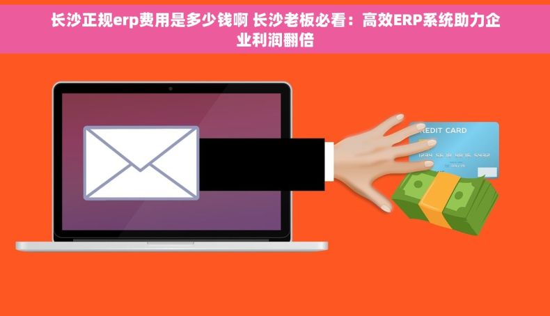 长沙正规erp费用是多少钱啊 长沙老板必看：高效ERP系统助力企业利润翻倍