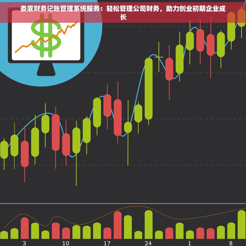 娄底财务记账管理系统服务：轻松管理公司财务，助力创业初期企业成长