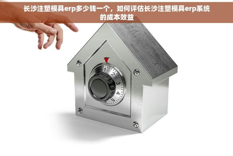 长沙注塑模具erp多少钱一个，如何评估长沙注塑模具erp系统的成本效益
