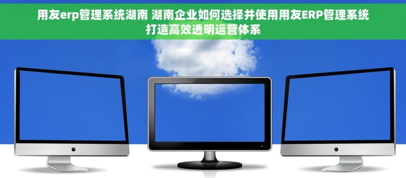 用友erp管理系统湖南 湖南企业如何选择并使用用友ERP管理系统打造高效透明运营体系