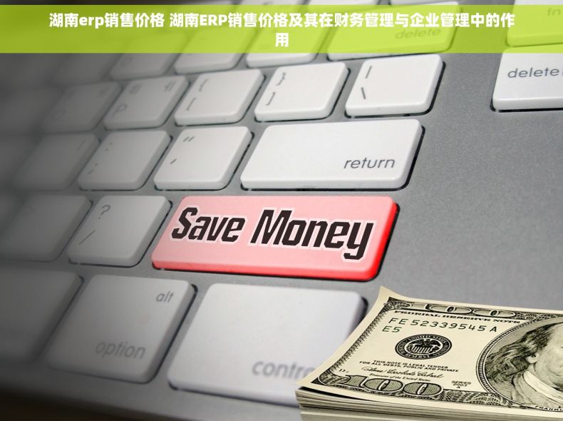 湖南erp销售价格 湖南ERP销售价格及其在财务管理与企业管理中的作用