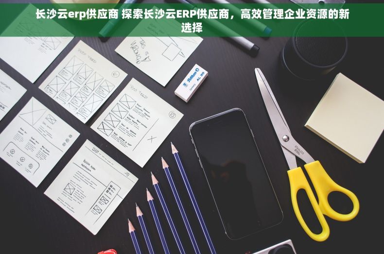 长沙云erp供应商 探索长沙云ERP供应商，高效管理企业资源的新选择