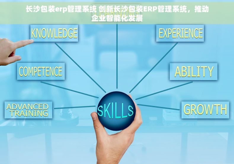 长沙包装erp管理系统 创新长沙包装ERP管理系统，推动企业智能化发展