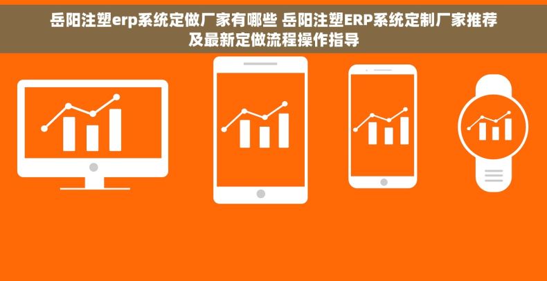 岳阳注塑erp系统定做厂家有哪些 岳阳注塑ERP系统定制厂家推荐及最新定做流程操作指导