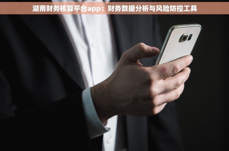 湖南财务核算平台app：财务数据分析与风险防控工具